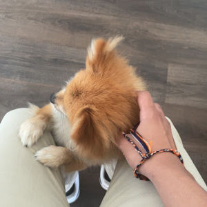 Meet your Posher, Andy